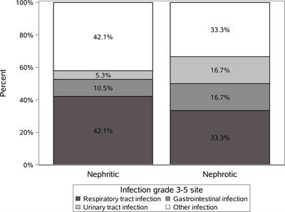 The Risk of Severe Infections Following Rituximab Administration in Patients With Autoimmune Kidney Diseases: Austrian ABCDE Registry Analysis